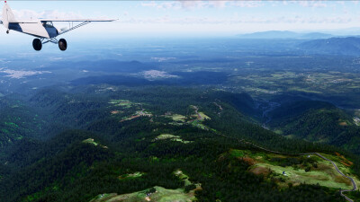 Global Forests v2 - X-Plane 12 screenshot