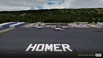 PAHO Homer Airport screenshot