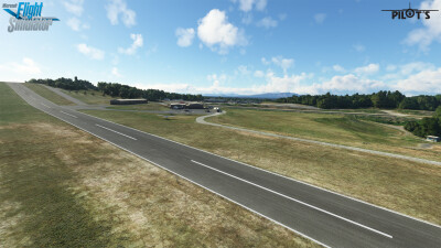 W24 Falwell Airport - Microsoft Flight Simulator screenshot