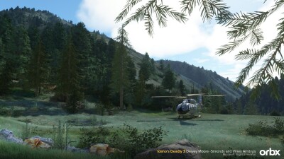 Idaho's Deadly 3 Dewey Moore -Simonds and Vines Airstrips screenshot