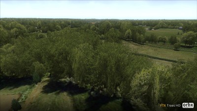 Global Trees HD screenshot