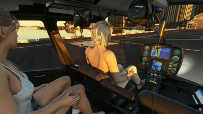 CowanSim R66 screenshot