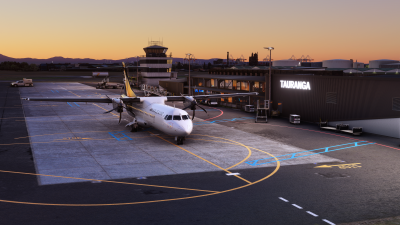 NZTG Tauranga Region - Microsoft Flight Simulator screenshot