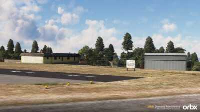 2WA1 Diamond Point Airstrip - Microsoft Flight Simulator screenshot