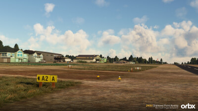 2WA1 Diamond Point Airstrip - Microsoft Flight Simulator screenshot