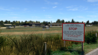 EGHN Sandown Airport - Microsoft Flight Simulator screenshot