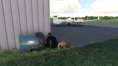 CYSH Smiths Falls-Montague Airport - Microsoft Flight Simulator screenshot