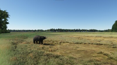 CYSH Smiths Falls-Montague Airport - Microsoft Flight Simulator screenshot