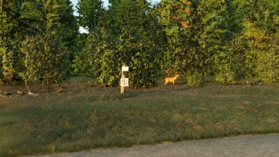 CYSH Smiths Falls-Montague Airport - Microsoft Flight Simulator screenshot