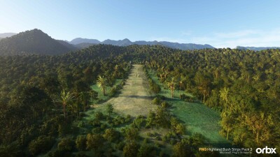 PNG Highland Bush Strips Pack 3 screenshot