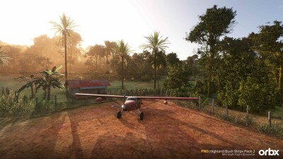 PNG Highland Bush Strips Pack 3 - Microsoft Flight Simulator screenshot