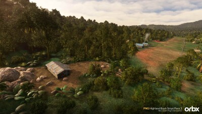 PNG Highland Bush Strips Pack 3 screenshot