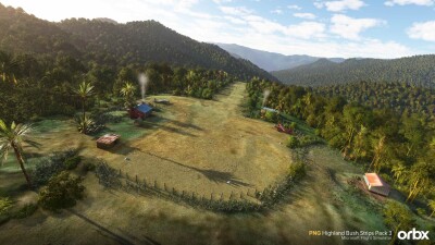 PNG Highland Bush Strips Pack 3 - Microsoft Flight Simulator screenshot