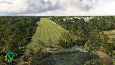 67FL Bald Eagle Airfield- Myakka Head - Microsoft Flight Simulator screenshot