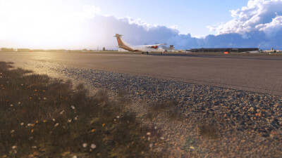 NZTG Tauranga Region - Microsoft Flight Simulator 2024 screenshot