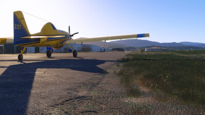 YCBG Cambridge Aerodrome - Microsoft Flight Simulator 2024 screenshot