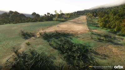 PNG Highland Bush Strips Pack 3 - Microsoft Flight Simulator 2024 screenshot