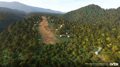 PNG Highland Bush Strips Pack 3 - Microsoft Flight Simulator 2024 screenshot