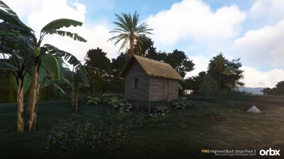 PNG Highland Bush Strips Pack 3 - Microsoft Flight Simulator 2024 screenshot