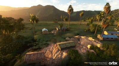 PNG Highland Bush Strips Pack 3 - Microsoft Flight Simulator 2024 screenshot