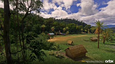 PNG Highland Bush Strips Pack 3 - Microsoft Flight Simulator 2024 screenshot