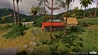 PNG Highland Bush Strips Pack 3 - Microsoft Flight Simulator 2024 screenshot