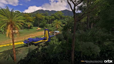 PNG Highland Bush Strips Pack 3 - Microsoft Flight Simulator 2024 screenshot