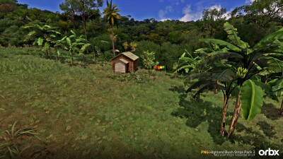 PNG Highland Bush Strips Pack 3 - Microsoft Flight Simulator 2024 screenshot