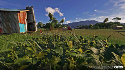 PNG Highland Bush Strips Pack 3 - Microsoft Flight Simulator 2024 screenshot