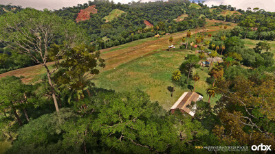 PNG Highland Bush Strips Pack 3 - Microsoft Flight Simulator 2024 screenshot