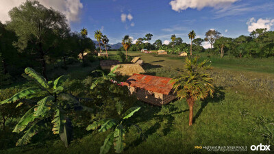 PNG Highland Bush Strips Pack 3 - Microsoft Flight Simulator 2024 screenshot