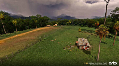 PNG Highland Bush Strips Pack 3 - Microsoft Flight Simulator 2024 screenshot