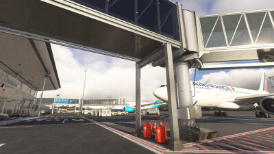 SOCA Cayenne – Félix Éboué Airport - Microsoft Flight Simulator 2024 screenshot