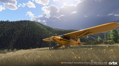 IDA The Deadly 3 - Dewey Moore, Simonds and Vines Airstrips 2024 screenshot