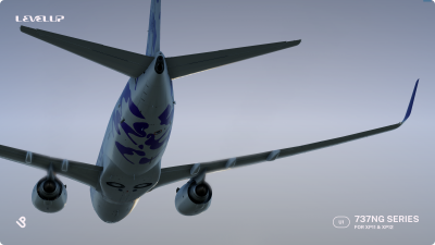 LevelUp 737NG Series for X-Plane 11 screenshot