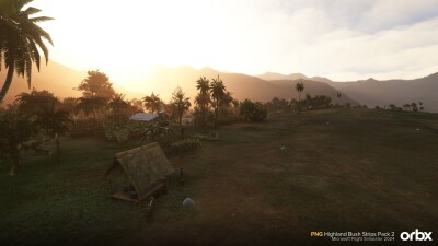 PNG Highland Bush Strips Pack 2 - Microsoft Flight Simulator 2024 screenshot