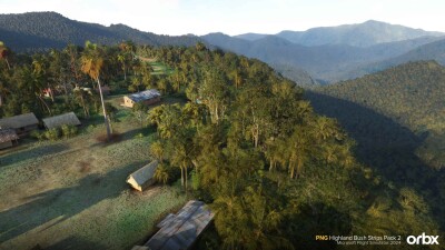 PNG Highland Bush Strips Pack 2 - Microsoft Flight Simulator 2024 screenshot