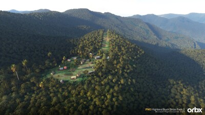 PNG Highland Bush Strips Pack 2 - Microsoft Flight Simulator 2024 screenshot