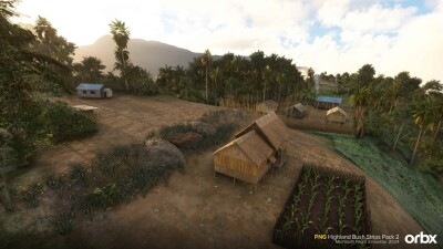 PNG Highland Bush Strips Pack 2 - Microsoft Flight Simulator 2024 screenshot