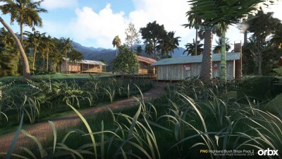 PNG Highland Bush Strips Pack 2 - Microsoft Flight Simulator 2024 screenshot