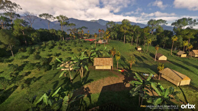 PNG Highland Bush Strips Pack 2 - Microsoft Flight Simulator 2024 screenshot