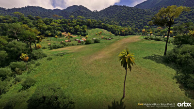 PNG Highland Bush Strips Pack 2 - Microsoft Flight Simulator 2024 screenshot