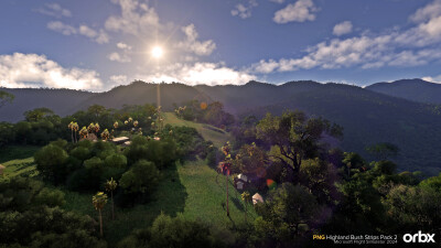 PNG Highland Bush Strips Pack 2 - Microsoft Flight Simulator 2024 screenshot