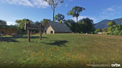PNG Highland Bush Strips Pack 2 - Microsoft Flight Simulator 2024 screenshot
