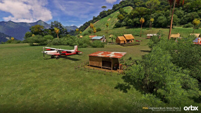 PNG Highland Bush Strips Pack 2 - Microsoft Flight Simulator 2024 screenshot