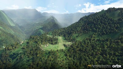 PNG Highland Bush Strips Pack 1 - Microsoft Flight Simulator 2024 screenshot