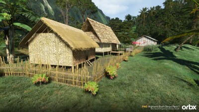 PNG Highland Bush Strips Pack 1 - Microsoft Flight Simulator 2024 screenshot