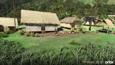 PNG Highland Bush Strips Pack 1 - Microsoft Flight Simulator 2024 screenshot