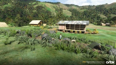 PNG Highland Bush Strips Pack 1 - Microsoft Flight Simulator 2024 screenshot