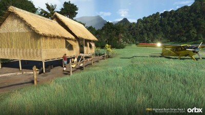 PNG Highland Bush Strips Pack 1 - Microsoft Flight Simulator 2024 screenshot